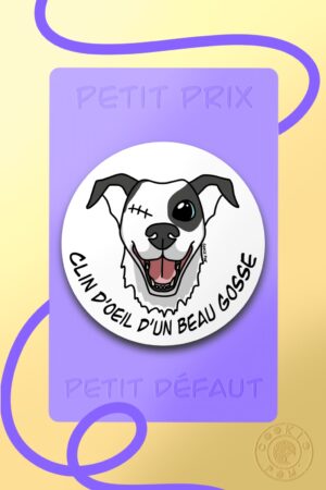 Sticker Beau Gosse (prix mini)