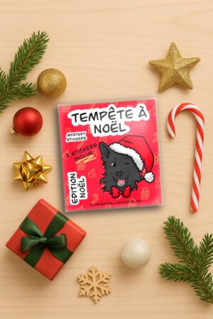 Mystery Stickers EDITION NOËL